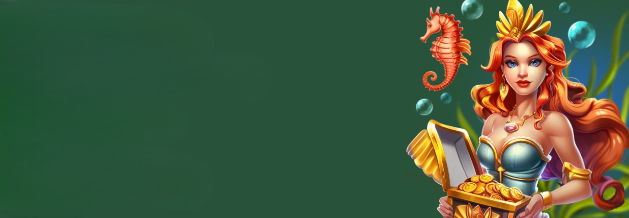 50% HIGHROLLER BONUS